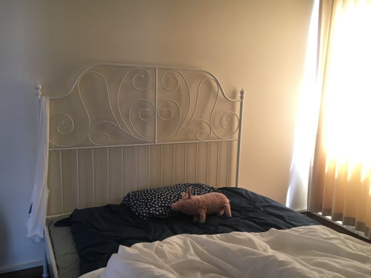 $275, Student-accommodation, 2 bathrooms, Cardigan Street, Carlton VIC 3053