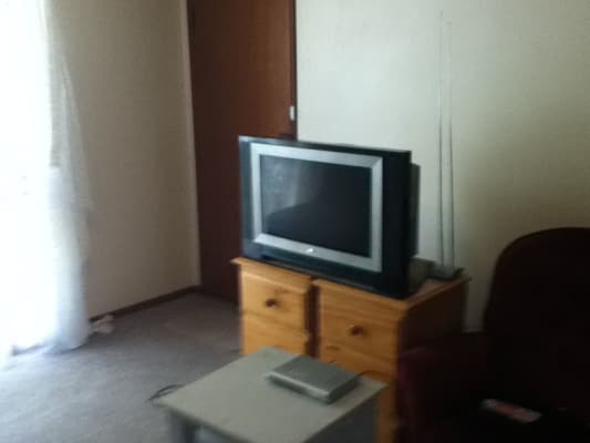 Room For Rent In Banner Street Forest Hill Nsw 70 U