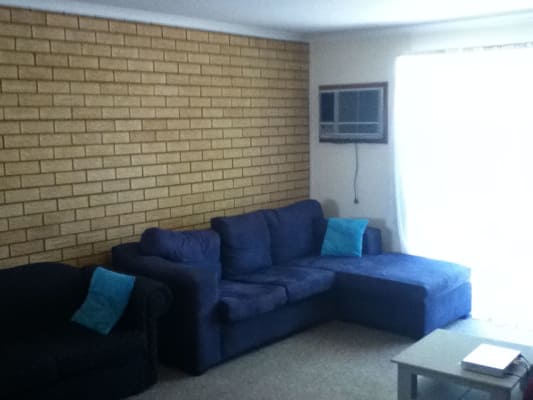 Room For Rent In Banner Street Forest Hill Nsw 70 U